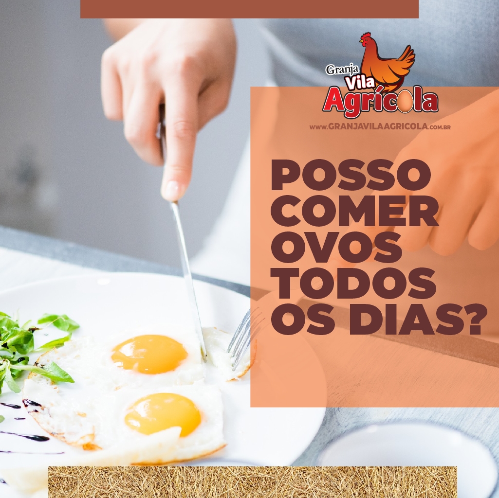 comer ovos todos os dias