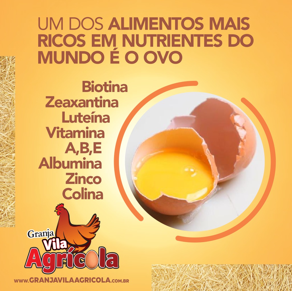 nutrientes do ovo