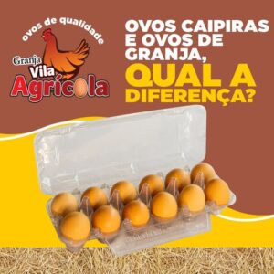 Ovos de Galinha Caipira
