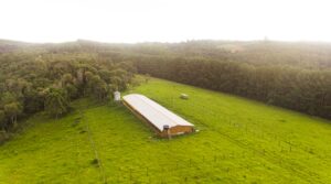 Granja Vila Agrícola