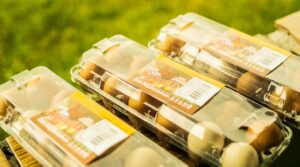 Embalagens Recicláveis