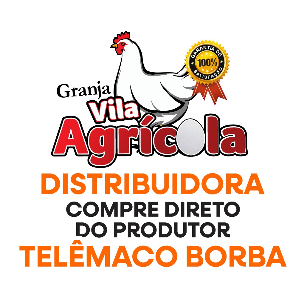 distribuidor de ovos em telemaco borba